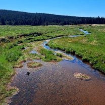 Jakuszyce-Chatka Górzysty-Orle-Jakuszyce