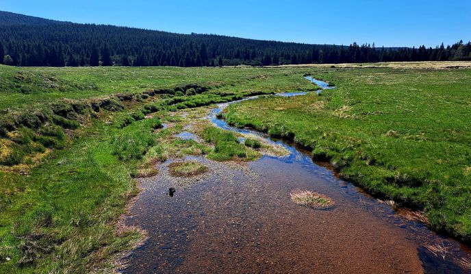 Foto 1 der Bikemap-Route "Jakuszyce-Chatka Górzysty-Orle-Jakuszyce"