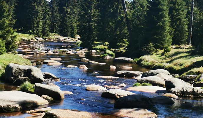 Foto 2 der Bikemap-Route "Jakuszyce-Chatka Górzysty-Orle-Jakuszyce"