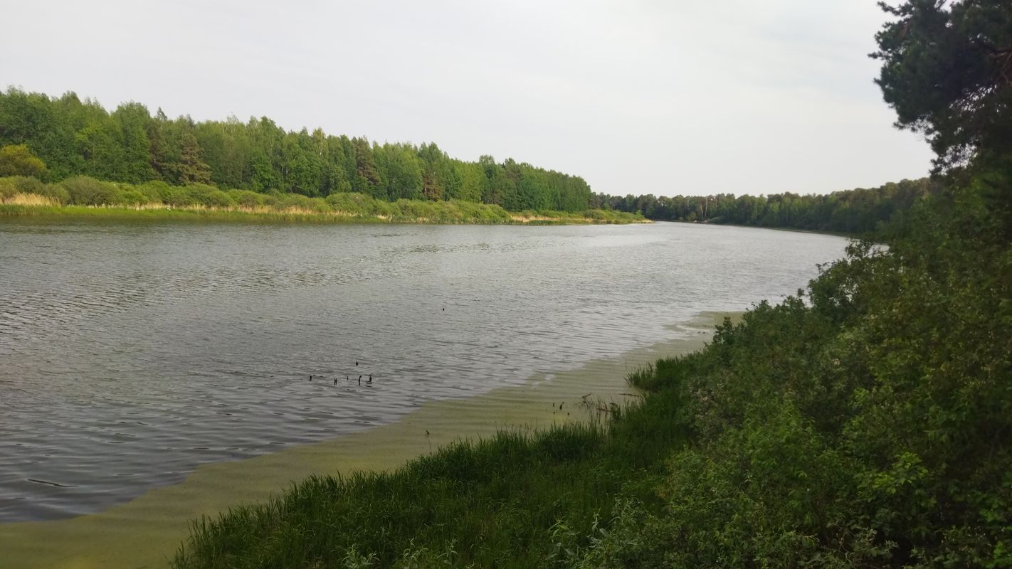 поход на гилевку