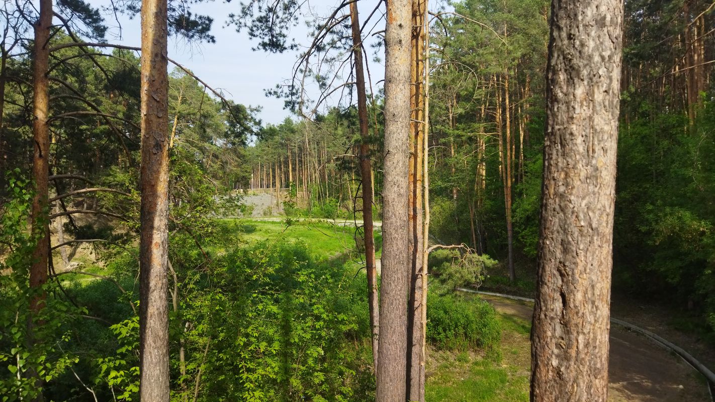 поход на гилевку
