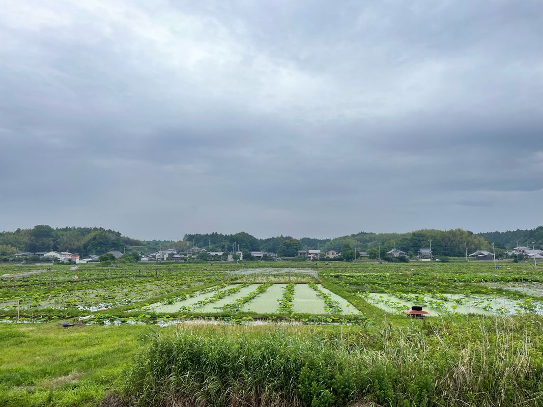 20210606_霞ヶ浦一周サイクリング大会