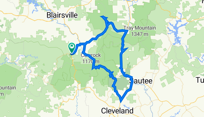 Vogel_Brasstown_Bald