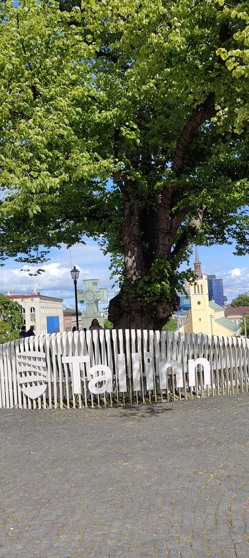 Tallinn Campingplatz Altstadt und zurück