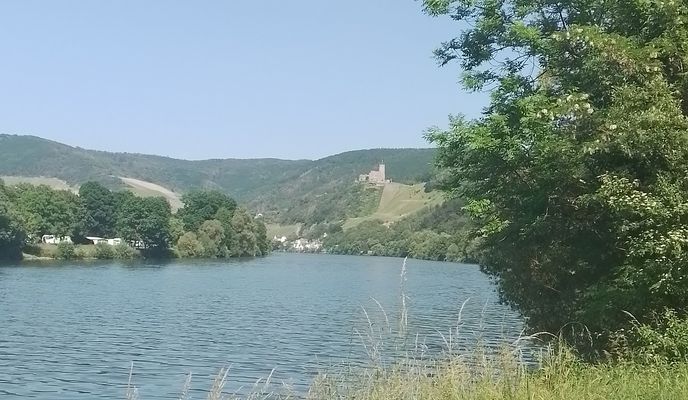 Foto 1 der Bikemap-Route "Moselstraße 50, Piesport nach Pastor Glesius Straße 13, Zeltingen-Rachtig"