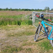 Hanebalken 35, Drachten to Hanebalken 35, Drachten