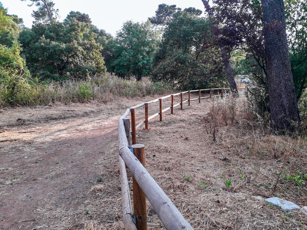 Radial de Benfica e Pina Manique