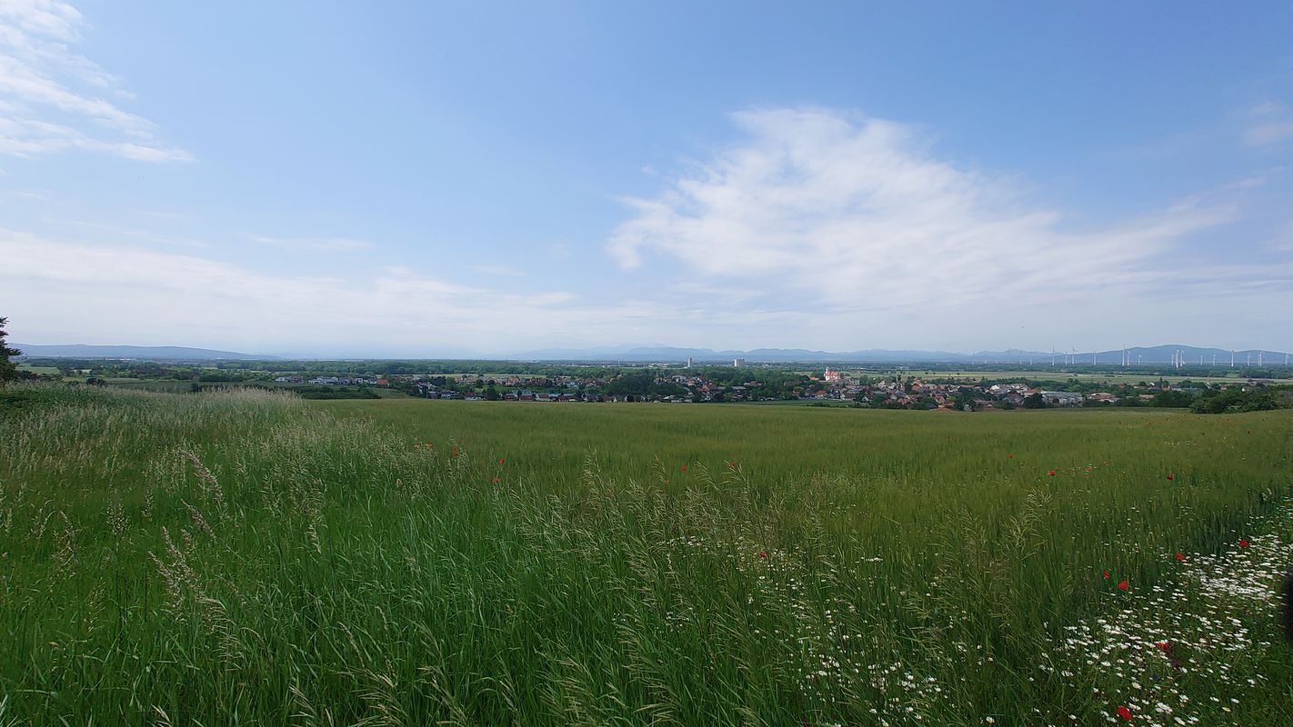 Ebreichsdorf nach  Loretta nach Ebreichsdorf