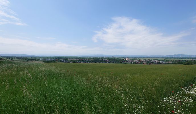Photo 2 of the Bikemap route "Ebreichsdorf nach  Loretta nach Ebreichsdorf"