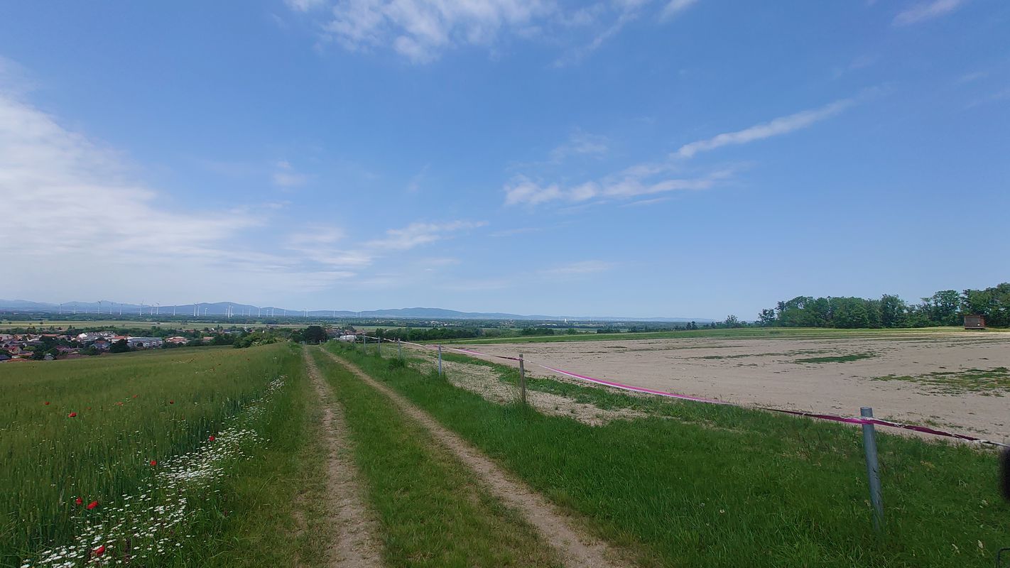 Ebreichsdorf nach  Loretta nach Ebreichsdorf