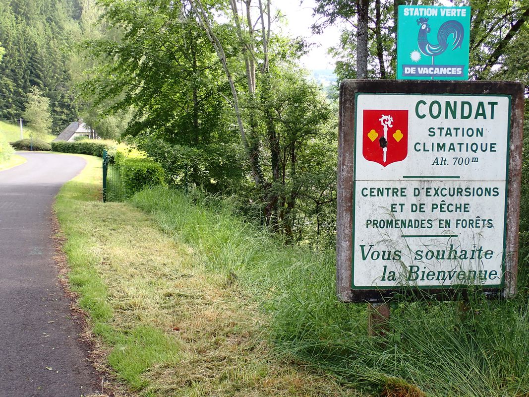 Bort-les-Orgues to Allanche