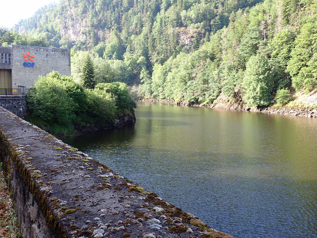 Bort-les-Orgues to Allanche