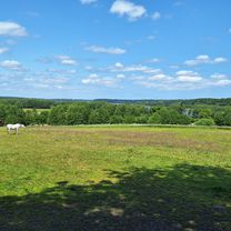 Rundtour durch den Naturpark Westensee