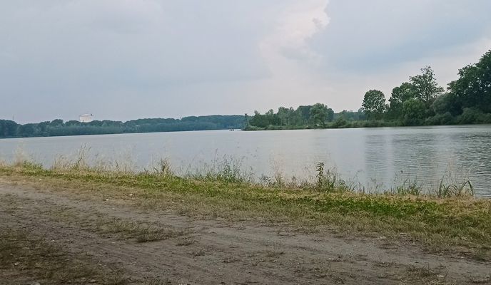 Photo 2 of the Bikemap route "Cortemaggiore - Po San Nazzaro (e ritorno)"