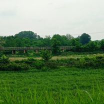 Photo 7 of the Bikemap route "Cortemaggiore - Po San Nazzaro (e ritorno)"