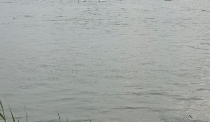 Photo 1 of the Bikemap route "Cortemaggiore - Po San Nazzaro (e ritorno)"