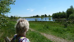 Hebe Bild 2 entlang der Bikemap-Route "Grosssolt nachTarp" hervor