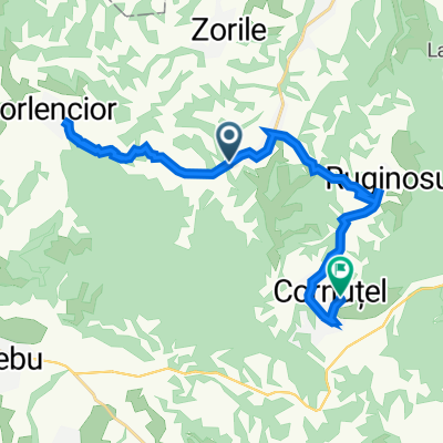 DJ608B, Copacele to Cornutel, Paltinis