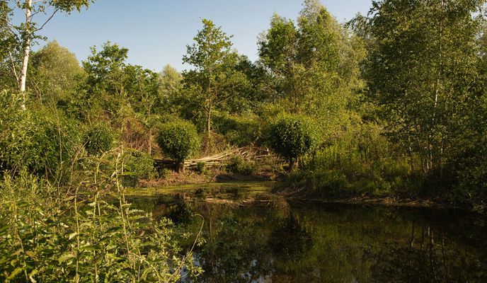 Zdjęcie 2 trasy Bikemap „Die Schunter Part 1”