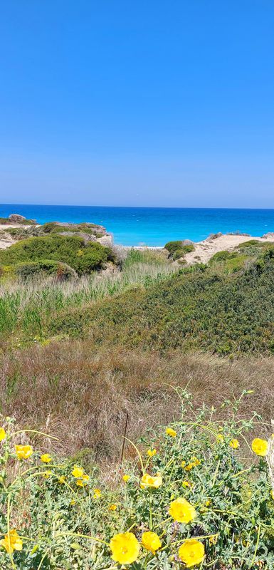 Gennadi Gennadi Bay, South Rhodes nach Kiotari
