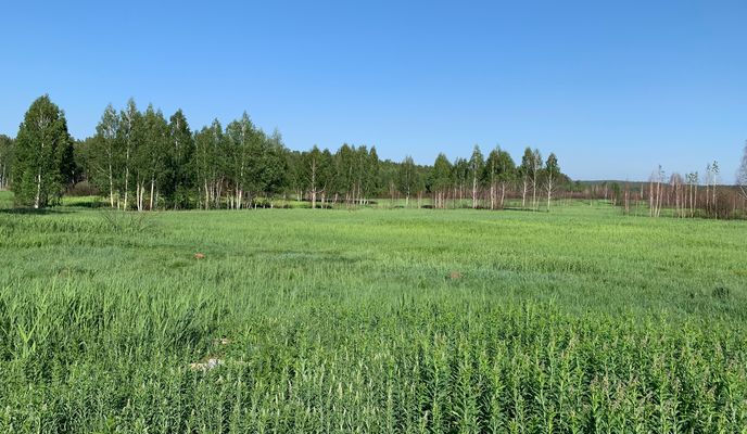 Foto 2 der Bikemap-Route "Шарташская улица, 18, Екатеринбург до Шарташская улица, 18, Екатеринбург"