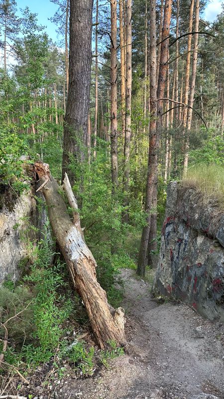 Oława - Bystrzyca - Kulochwyt Strzelnicy Artyleryjskiej - Oława