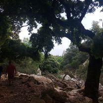 Foto 7 der Bikemap-Route "sentiero per Cala Goloritzè, Baunei nach sentiero per Cala Goloritzè, Baunei"