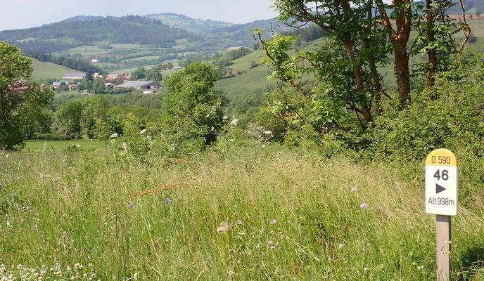 Photo 2 of the Bikemap route "Lavaudieu to Le Puy-en-Velay"
