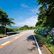 県道215号, 名古屋市千種区 to 金平町寺中28, 蒲郡市
