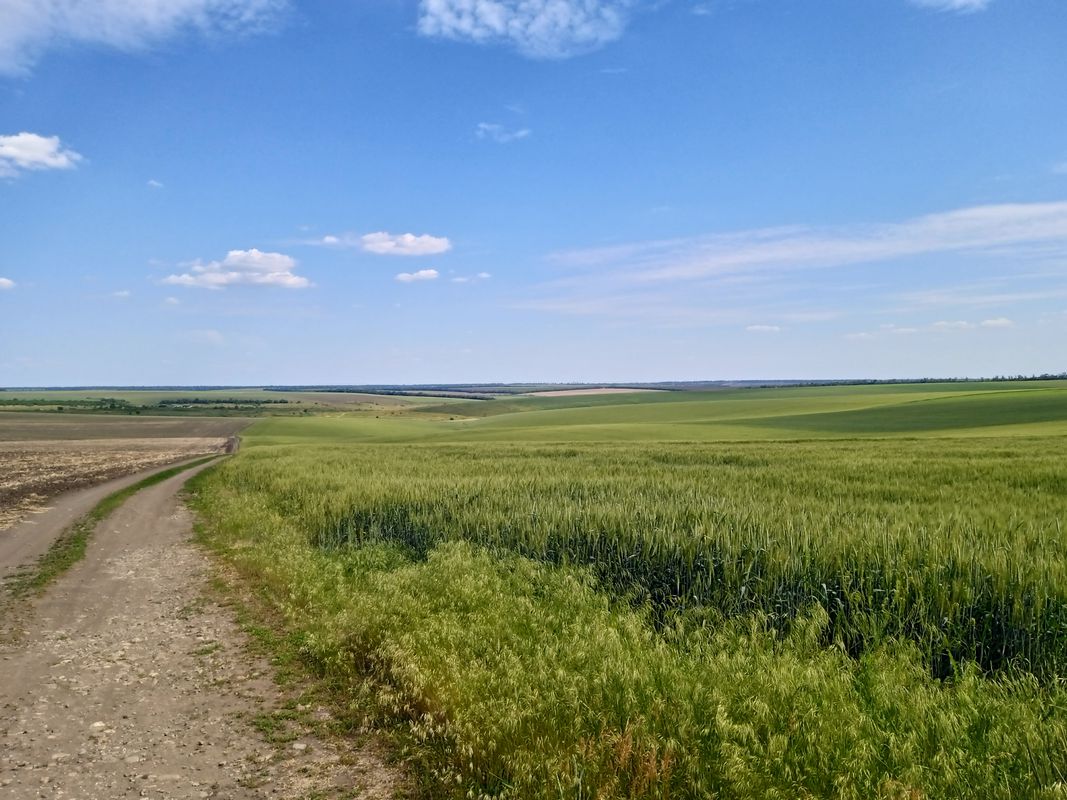 Route to с. Жемчужне