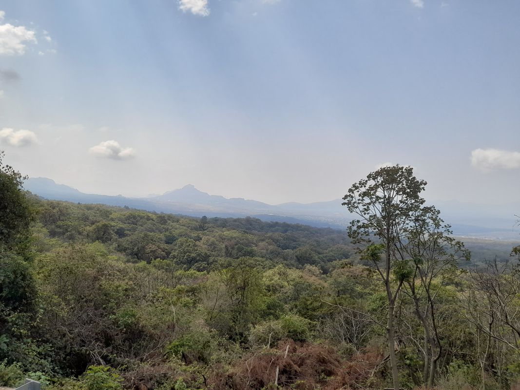 De Aquiles Serdán 102, Cuernavaca a Aquiles Serdán 100, Cuernavaca