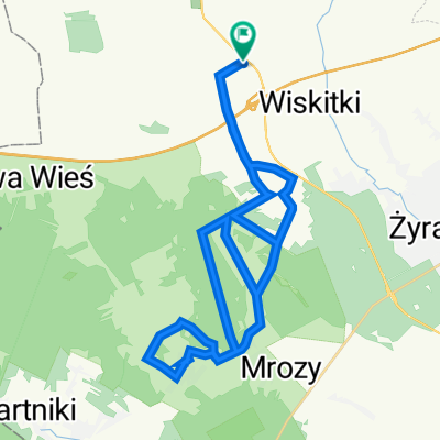 Cyganka 21, Wiskitki do Cyganka 21, Wiskitki