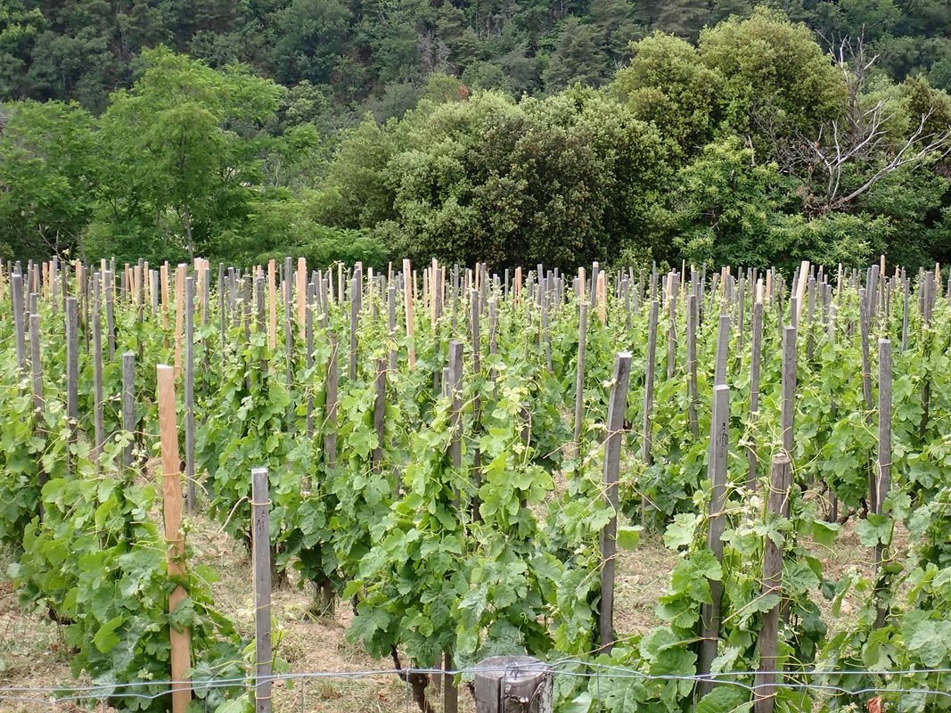 Mazel, Saint-Agrève to Valence
