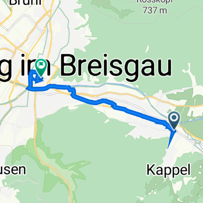 Freiburg Löwen, Freiburg im Breisgau nach Gerberau 20, Freiburg im Breisgau
