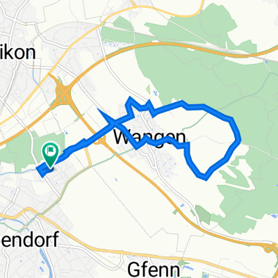 Felder Wangen