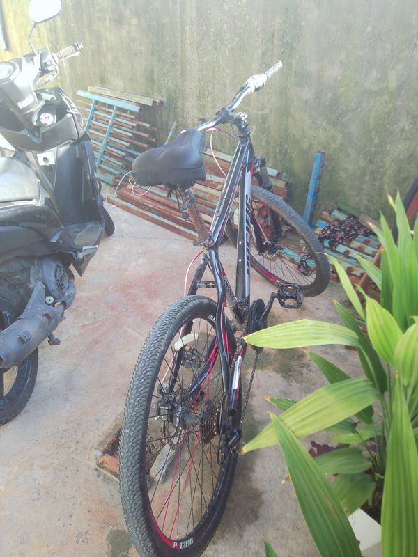 Minggu siang