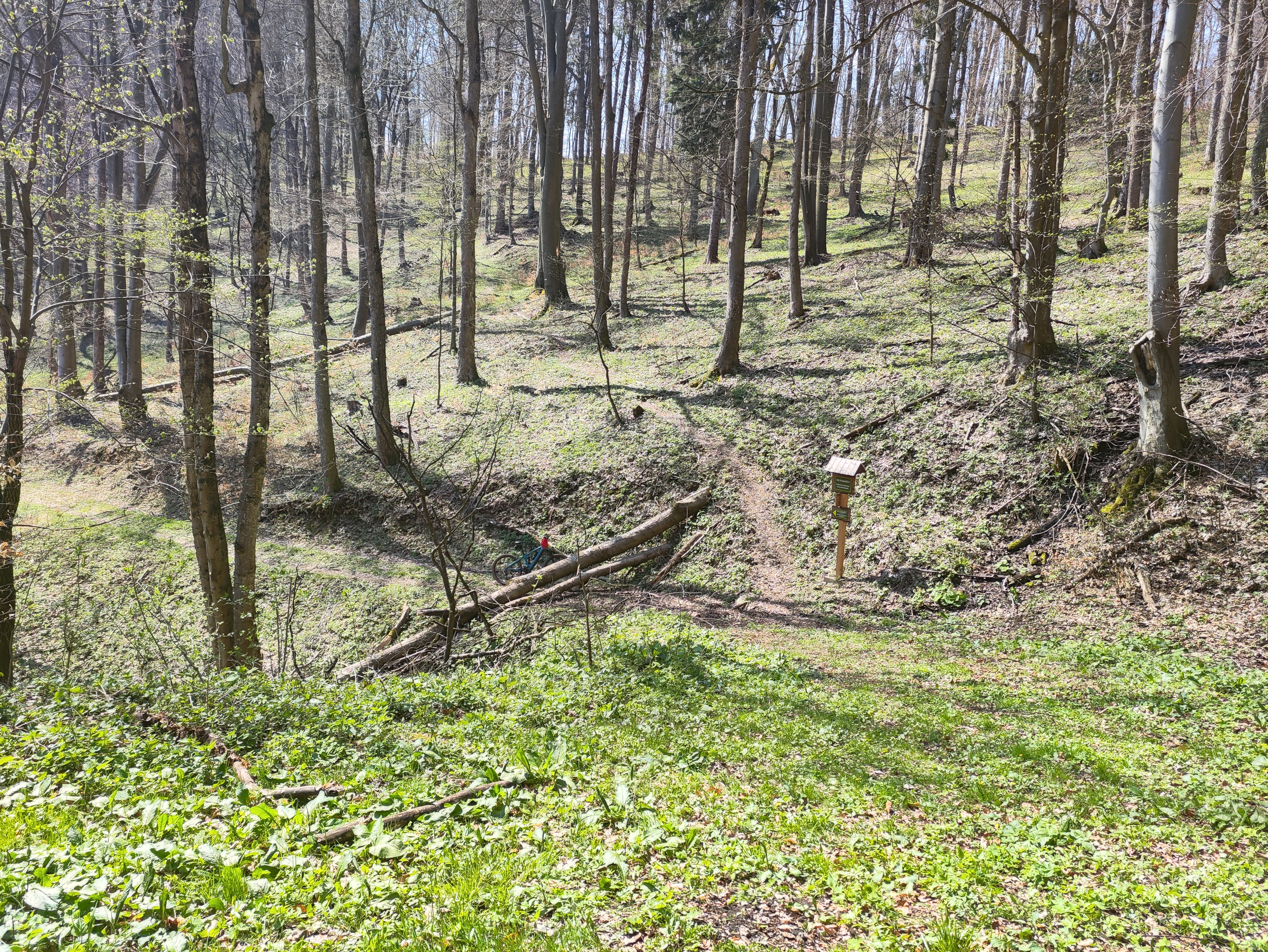 Dlhá 29, Bardejov do Dlhá 29, Bardejov
