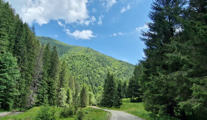 Photo 1 de l’itinéraire Bikemap « Plaiul Foii » Photo 1 de l’itinéraire Bikemap « Plaiul Foii »