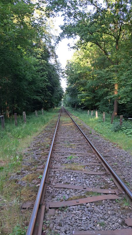 Bordesholm-Wasbek-Bordesholm