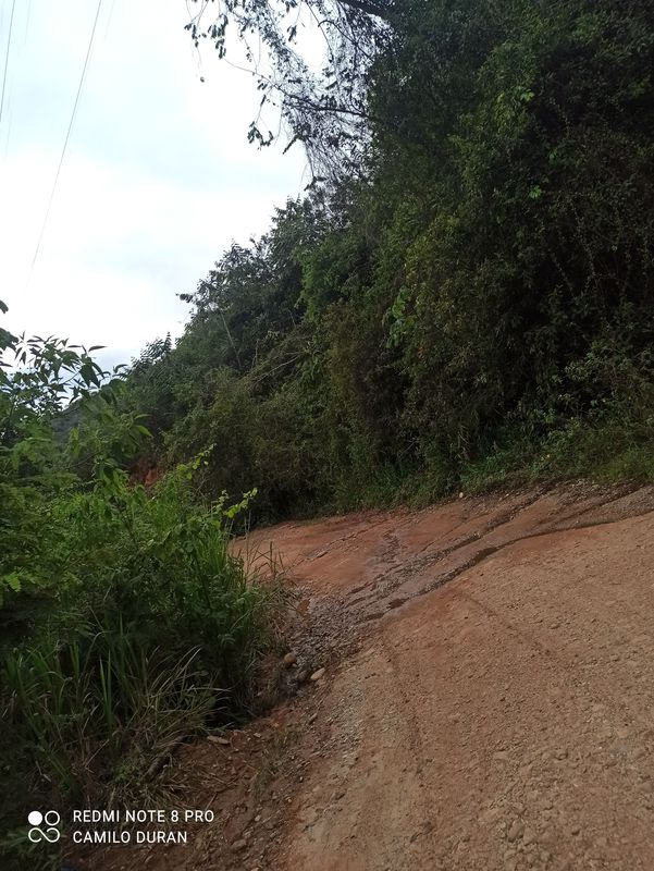 Ruta moderata
