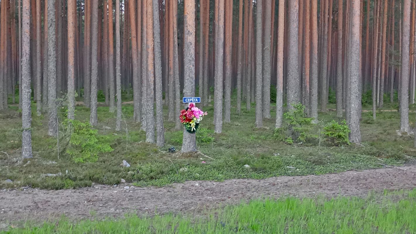 Нeizvestnaya doroga to Ulitsa Inzhenernaya 5, Priozersk