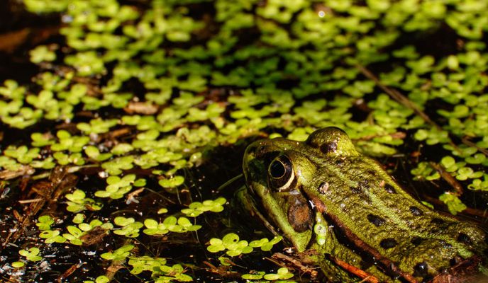 Zdjęcie 2 trasy Bikemap „Morgendliche Kurztour”