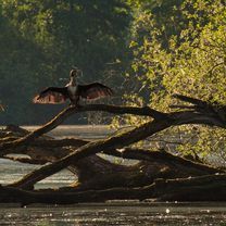 Morgendliche Kurztour