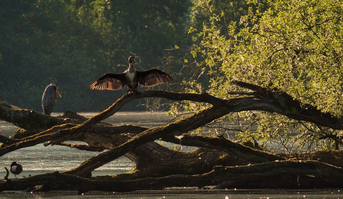 Zdjęcie 1 trasy Bikemap „Morgendliche Kurztour”