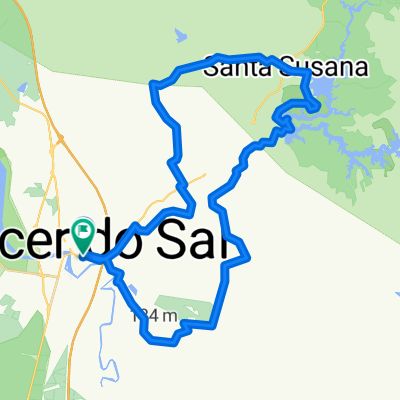 Meia Maratona cegonhas do sado 2011