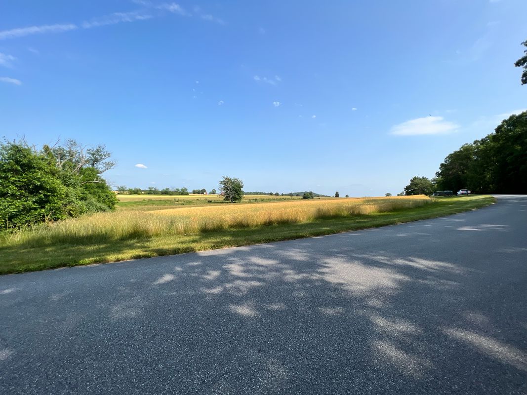 South Battlefield Mid