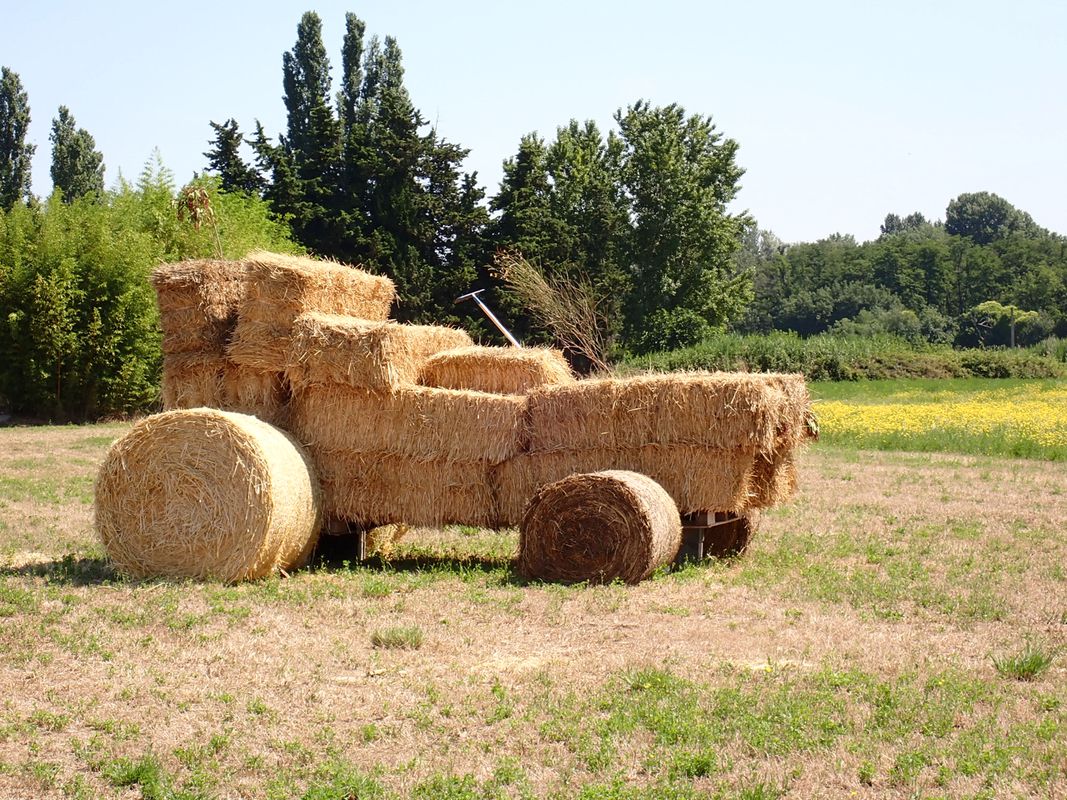 Montélimar to Fournès