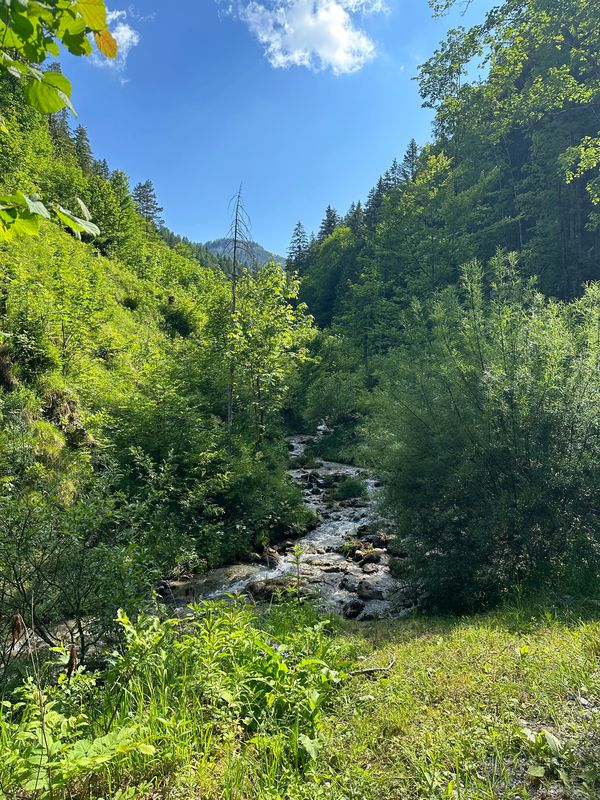 Falkenschlucht Hütte-Sulzbach