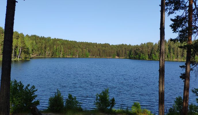 Photo 1 of the Bikemap route "Сосново - Колосково (25 км через лес)"