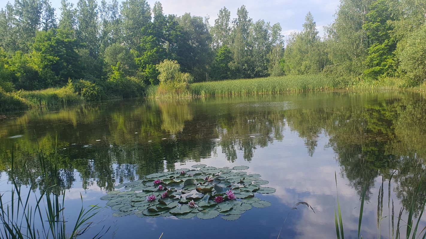 Janowska 26A, Legnica do Janowska 26B, Legnica